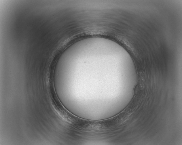 X0000069800631200606021440