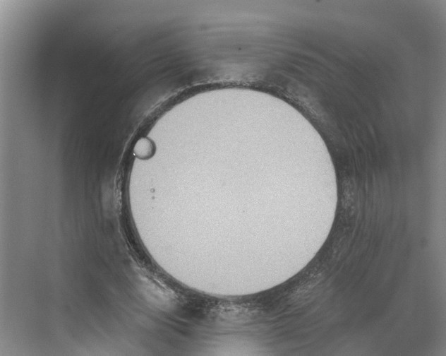 X0000069800632200606021440