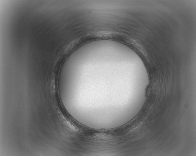 X0000069800633200606021440