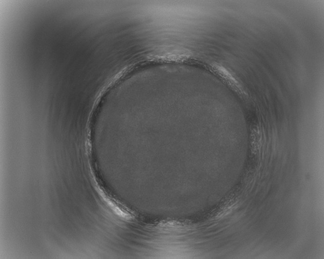 X0000069800634200606021440