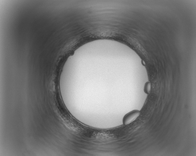 X0000069800635200606021440