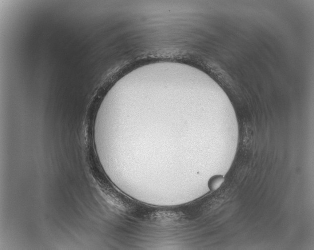 X0000069800636200606021440