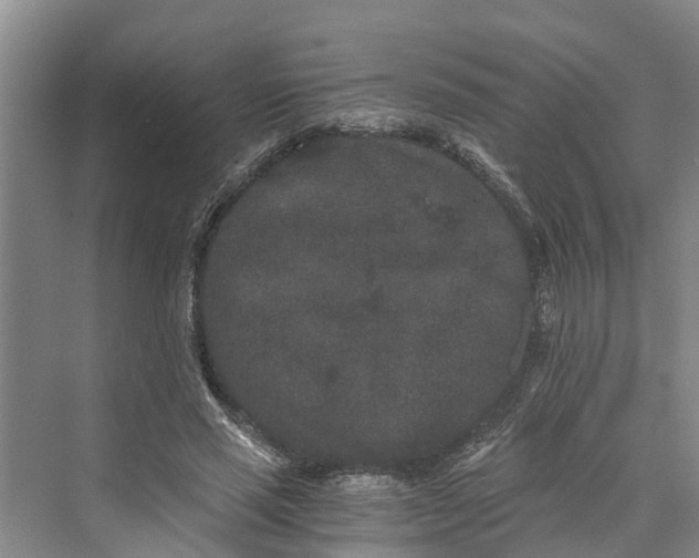 X0000069800637200606021440