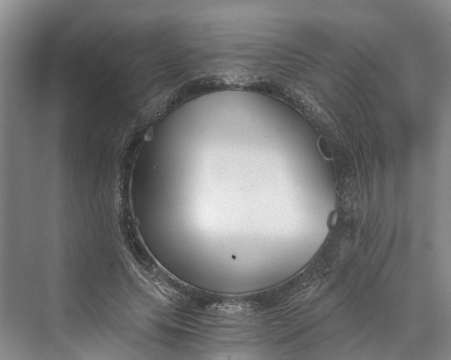 X0000069800639200606021440