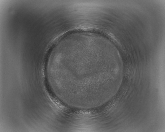 X0000069800640200606021440