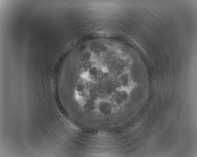 X0000069800641200606021440