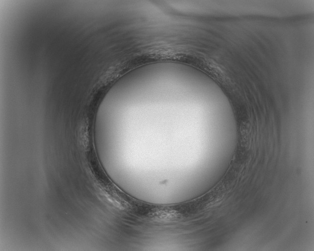 X0000069800642200606021440