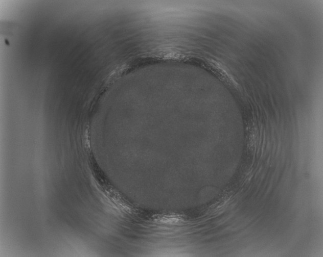 X0000069800643200606021440