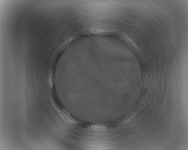 X0000069800644200606021440