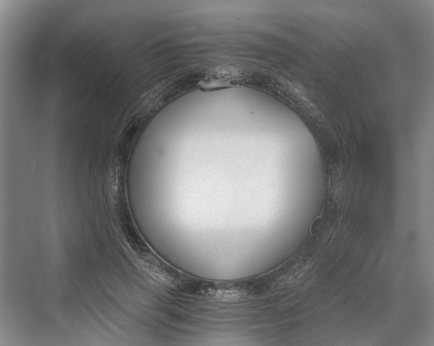 X0000069800645200606021440