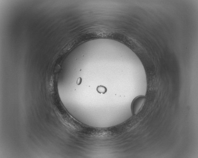 X0000069800646200606021440