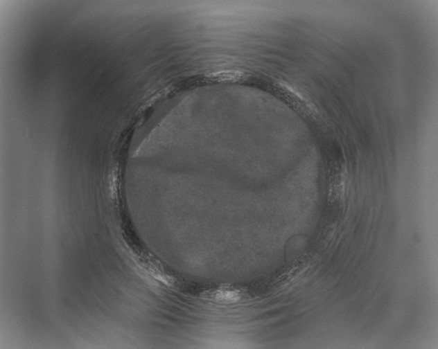 X0000069800647200606021440