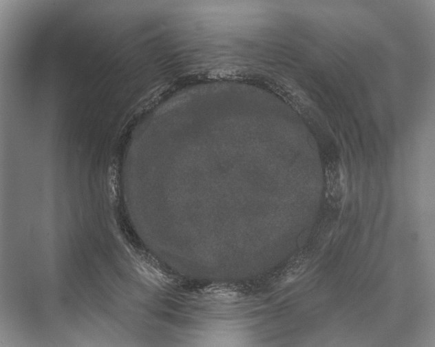 X0000069800648200606021440