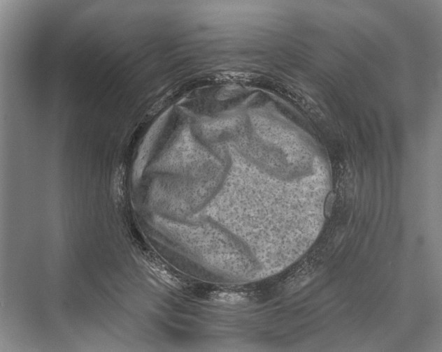 X0000069800649200606021440