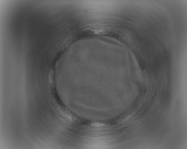 X0000069800650200606021440