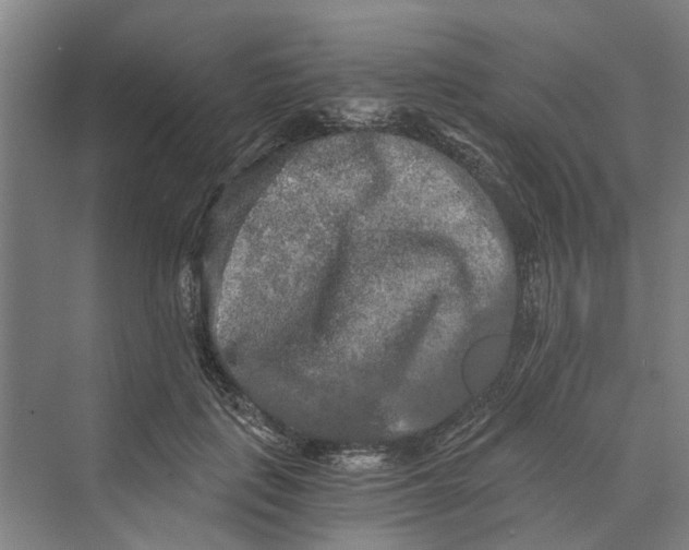 X0000069800651200606021440