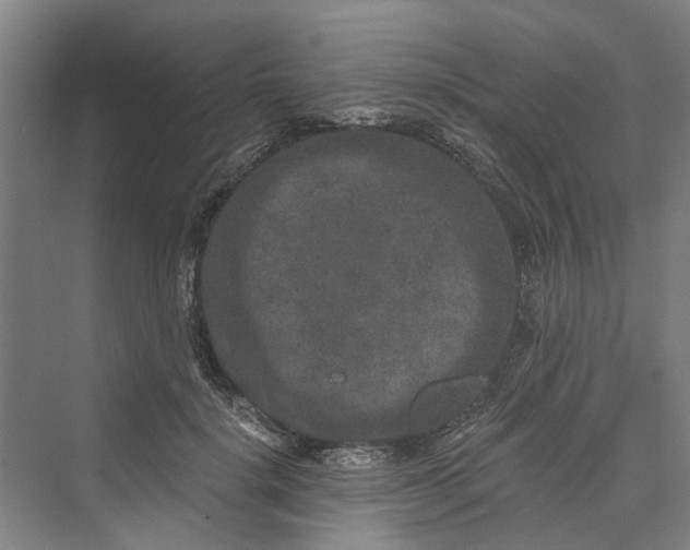 X0000069800652200606021440