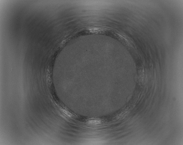 X0000069800653200606021440