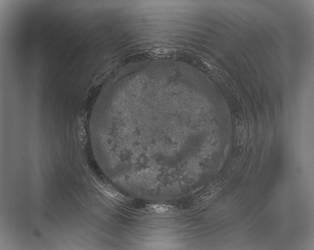 X0000069800654200606021440