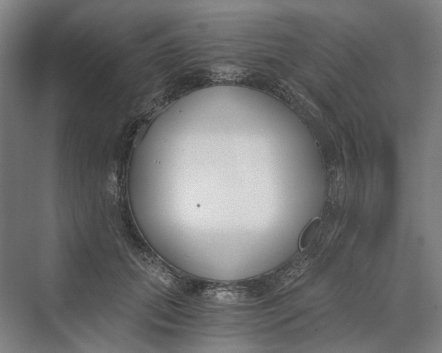 X0000069800655200606021440