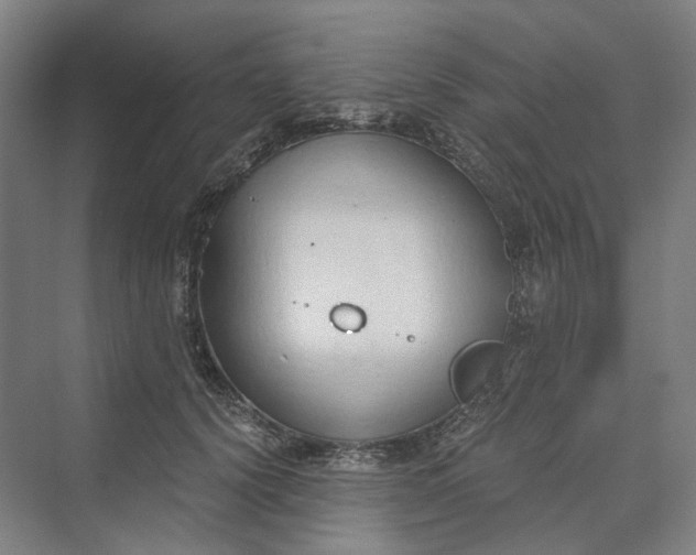 X0000069800656200606021440