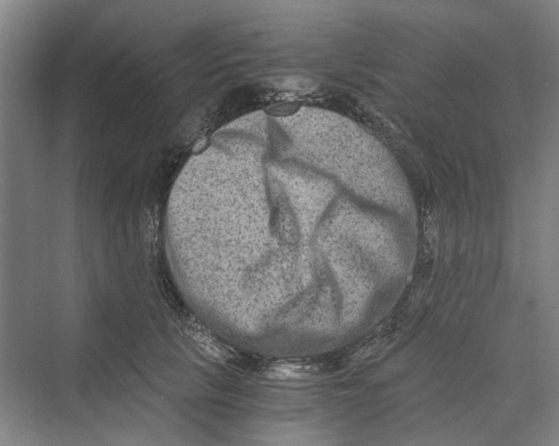 X0000069800657200606021440