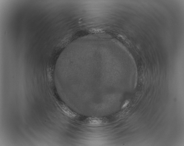 X0000069800658200606021440