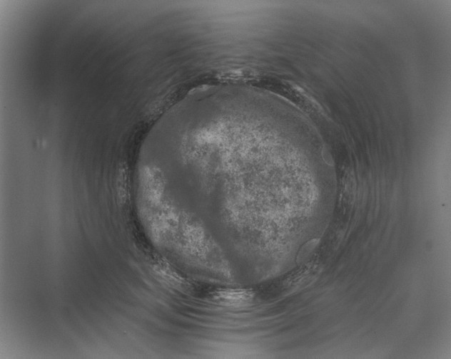 X0000069800659200606021440