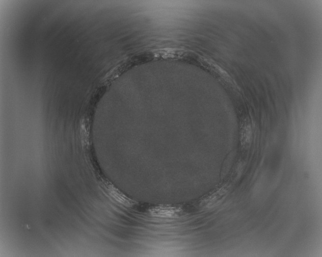 X0000069800661200606021440