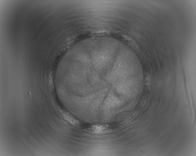 X0000069800662200606021440