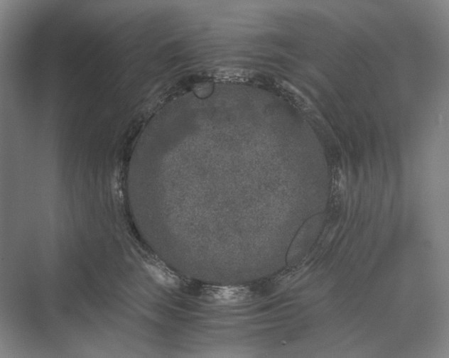 X0000069800663200606021441