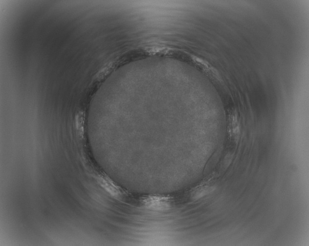 X0000069800664200606021441