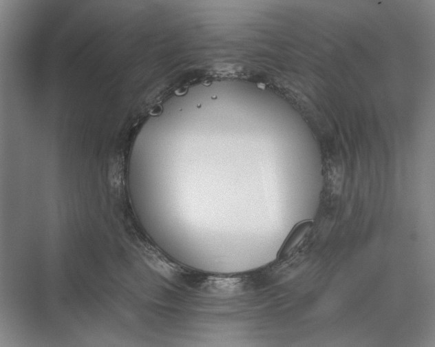 X0000069800665200606021441