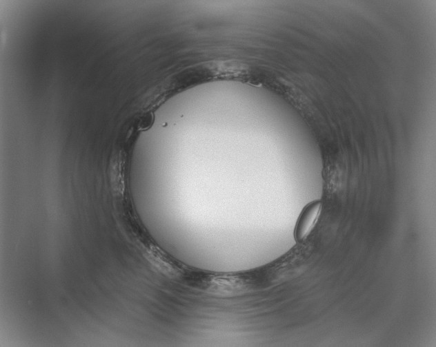 X0000069800666200606021441