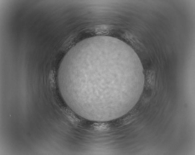 X0000069800667200606021441