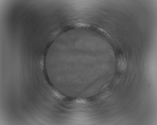 X0000069800668200606021441