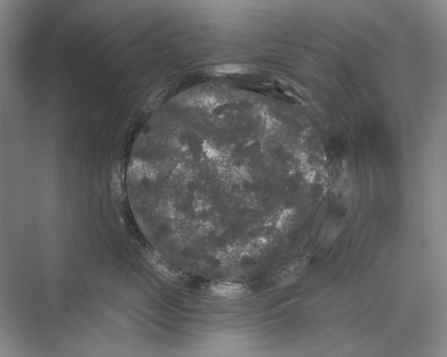 X0000069800669200606021441