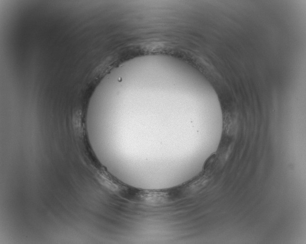 X0000069800670200606021441