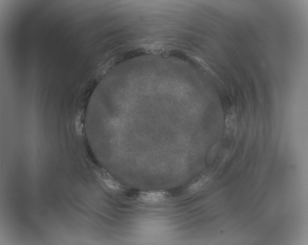 X0000069800671200606021441