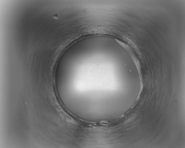 X0000069800673200606021440