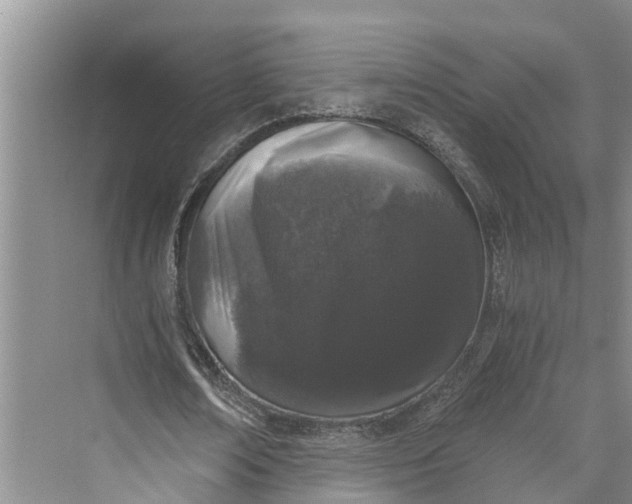 X0000069800674200606021440