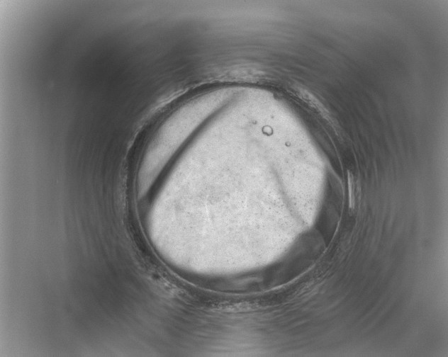 X0000069800675200606021440