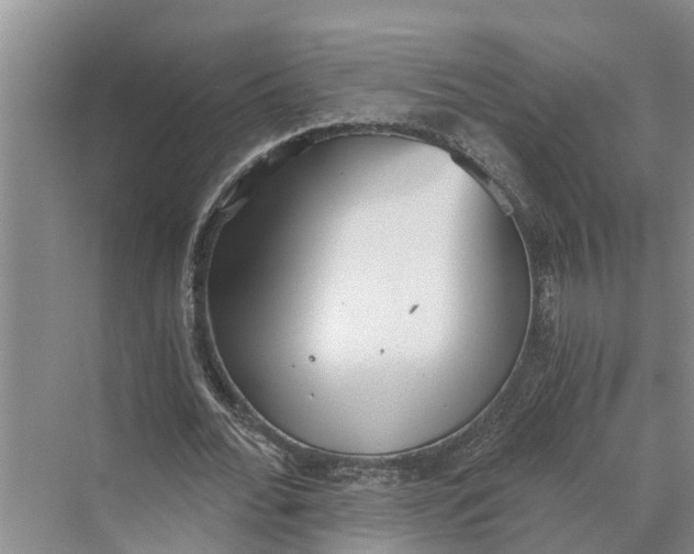 X0000069800676200606021440