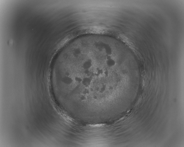 X0000069800679200606021440