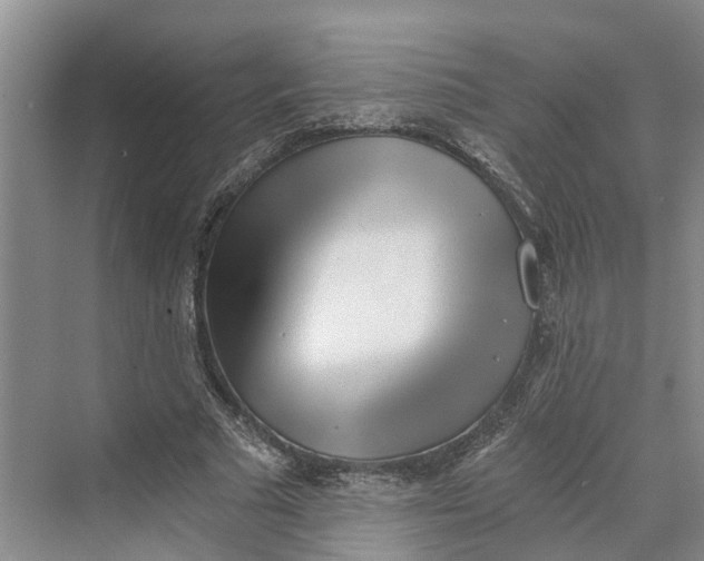 X0000069800681200606021440