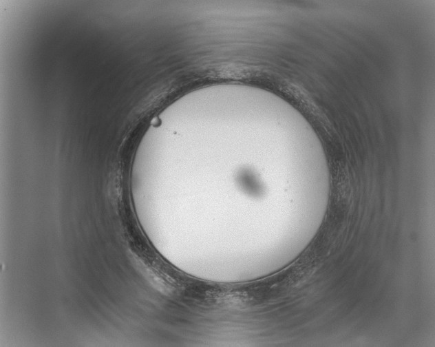 X0000069800683200606021440