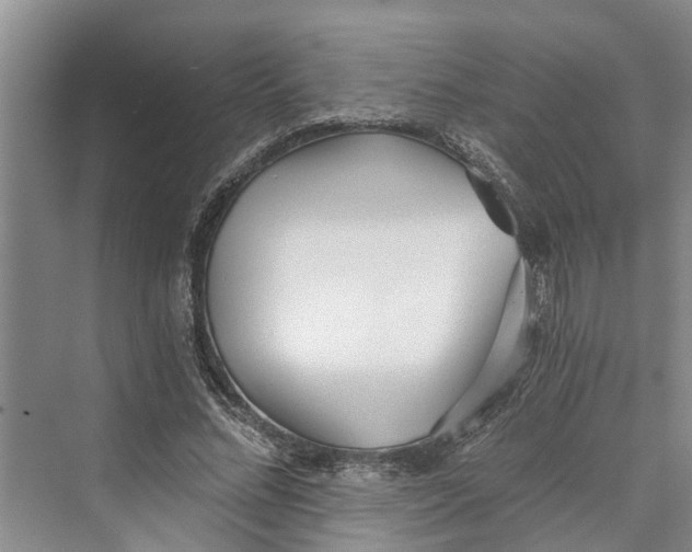 X0000069800684200606021440