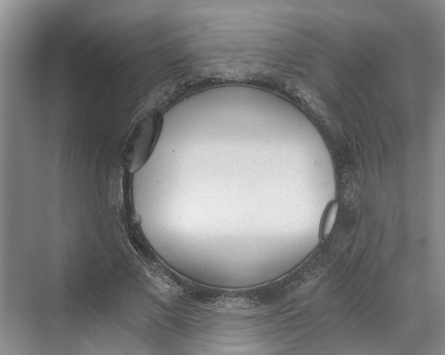 X0000069800685200606021440