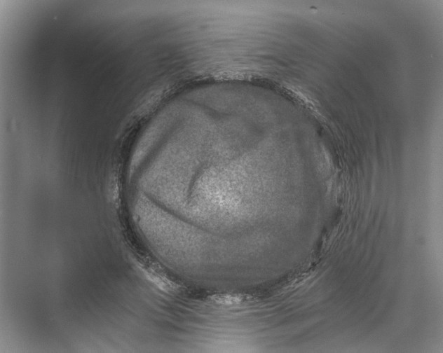 X0000069800687200606021440