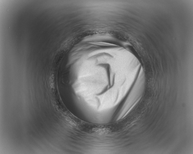 X0000069800689200606021440